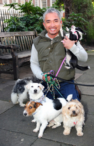 Cesar Millan: Love Him, Hate Him, And Why?
