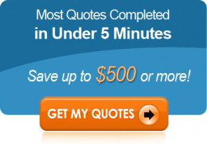 Edmonton Car Insurance Basics