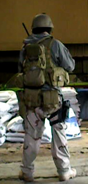 Thread: Seal in PCU version