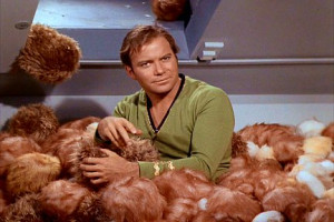 Captain Kirk Standing in a Pile of Tribbles