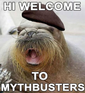 Hi welcome to mythbusters