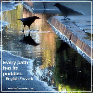 World of Proverbs - Famous Quotes: Every path has its puddle ...