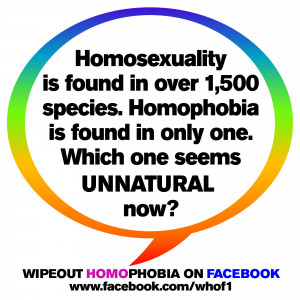 Wiping Out Homophobia on Facebook