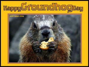 Groundhog Day Wishes Card