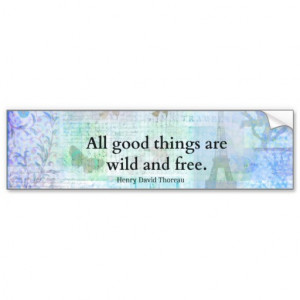 henry_david_thoreau_inspirational_freedom_quote_bumper_sticker ...