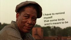 shawshank redemption red quote caged bird more the shawshank ...