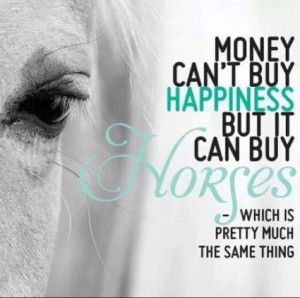 Haha money CAN buy happiness... Cuz it can buy horses!!! And Horses ...