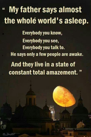 Pinned by Adelfi Wilde