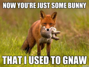 hungry fox Memes!