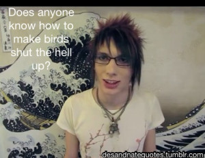 THIS IS NOT DESTERY OR NATHAN-