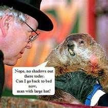 Happy Groundhog Day- Groundhog funny facebook for the day