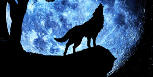 Quote Wolf Howling at Moon