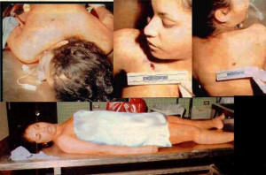 found for Selena Quintanilla on http://www.alemdaimaginacao.com