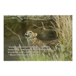 CHEETAH WATCHING MONARCH BUTTERFLY WITH QUOTE POSTER
