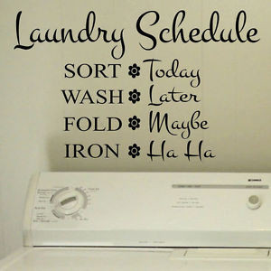 Vinyl-Wall-Lettering-Quotes-Laundry-Room-Funny-Schedule-choice-size ...