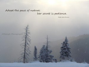 Cool Nature Photography With Quotes Nature photography