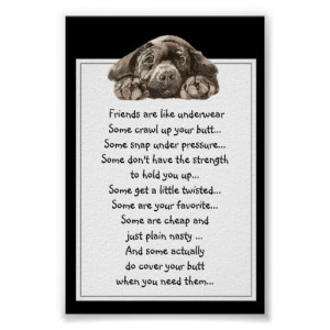 funny_quote_about_friends_are_like_underwear_print ...