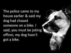 Police said my dog had chased someone on a bike