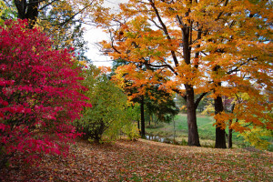 Falling for Fall: 5 Articles to Help You Transition with Ease