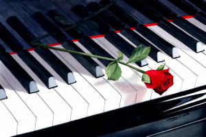 Piano And Rose