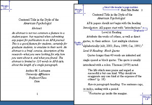 APA title & text page format