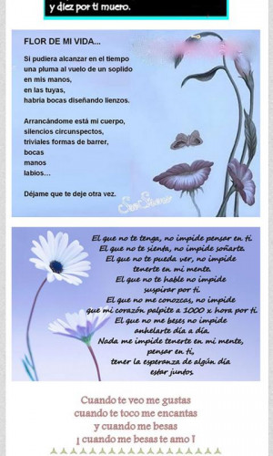 Poemas y Frases Romanticas - screenshot
