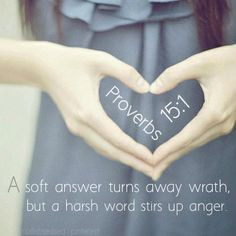 BIBLE A soft answer turns away wrath, but a harsh word stirs up anger ...