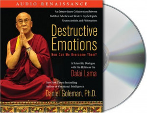 Destructive Emotions: How Can We Overcome Them?: A Scientific Dialogue ...