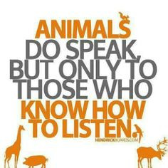 Animals Do Speak