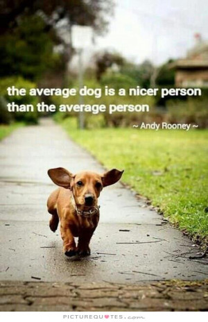 ... average dog is a nicer person than the average person Picture Quote #1