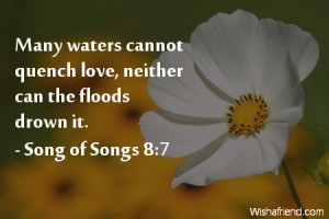 quotes about love many waters cannot quench love neither can floods