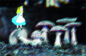 Alice in drugland, Alice in Wonderland mushrooms, shrooms, drugs ...