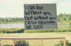 can live without you but without you i'll be miserable at best.