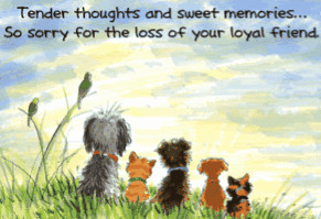 Prayer Request for Karen E, and the loss of her beloved dog Tripp.