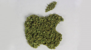 apple_logo_in_weed.0.0.png