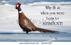 Inspirational quote on individuality by Dr. Suess with a male ring ...