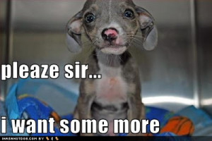 Posted by Leeanna at 3/13/2013 12:19:00 AM