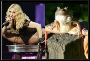 http://infocatolica.com/blog/infories.p ... -cabala-en ]Madonna hace ...