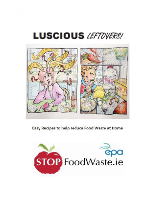Food Waste Prevention information display at the Galway Food Festival ...