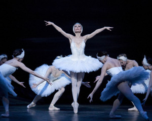 Swan Lake Tutu