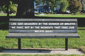 ... the number of breaths we take but by the moments that take our breath