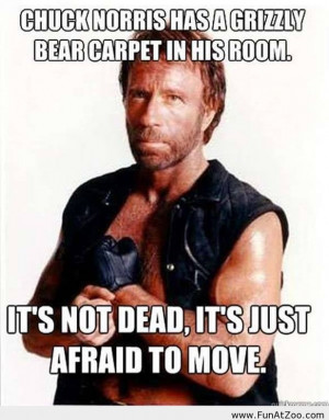 Chuck Norris 2013 joke