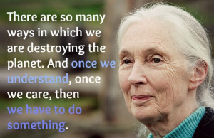 ... look no further than the timeless wisdom of Dr. Jane Goodall herself