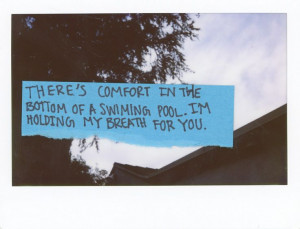 Swimming Pool - The Front Bottoms
