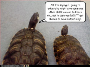 funny-pictures-turtle-wants-to-be-a-ninja.jpg