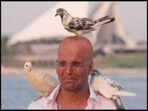 funny akshay kumar funny akshay kumar with birds