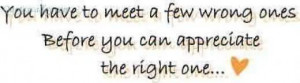 ... Have To Meet A Few Wrong Ones Before You Can Appreciate The Right One