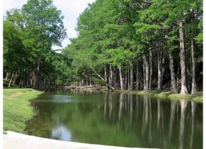 guadelupe river at camp mystic (texas)Guadalupe River