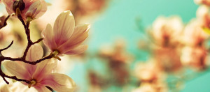 beautiful retro magnolia flower photo Facebook cover
