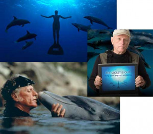 Ric O'Barry, Campaign Director for Earth Island Institute's Dolphin ...